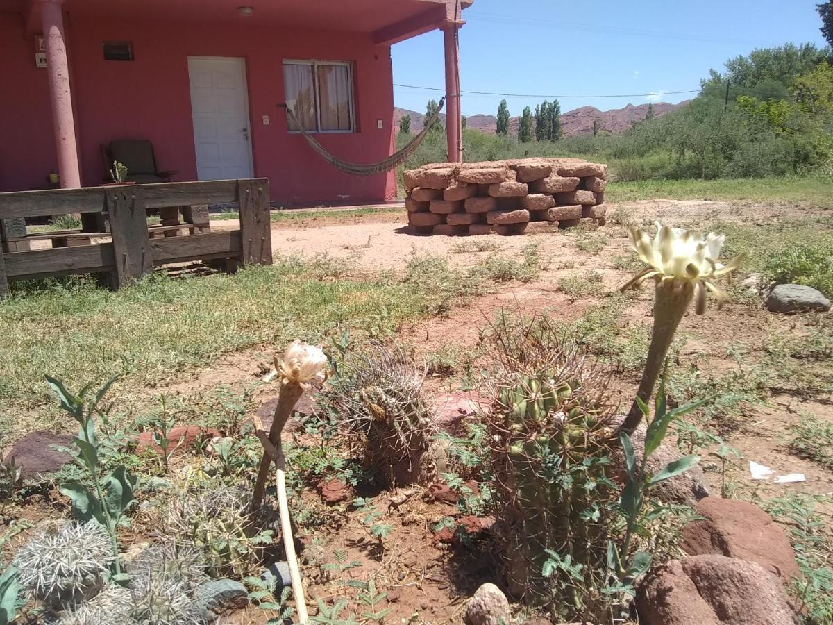 Finca Amancay Villa Union  Esterno foto