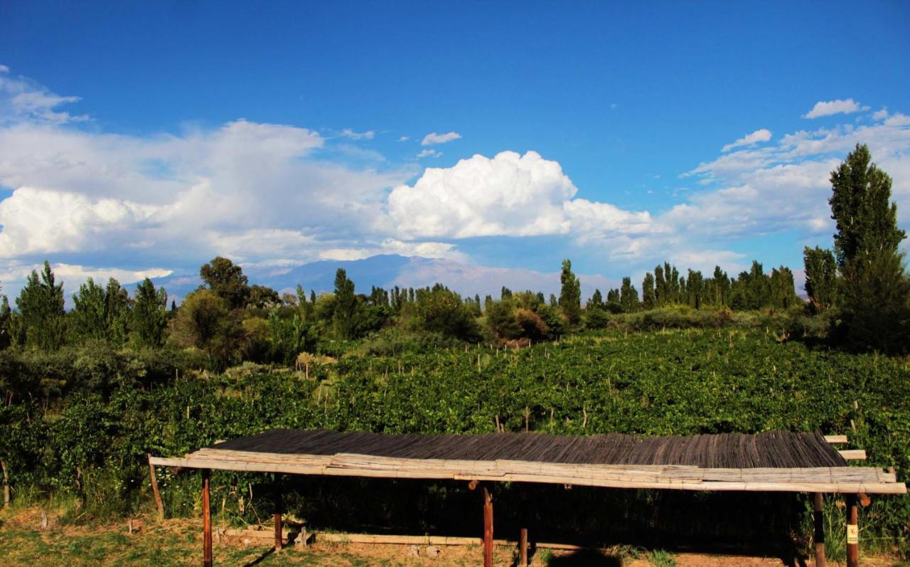 Finca Amancay Villa Union  Esterno foto